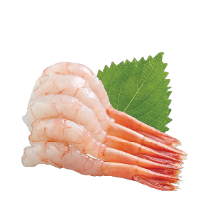 Amaebi Sashimi (Sweet Shrimp)